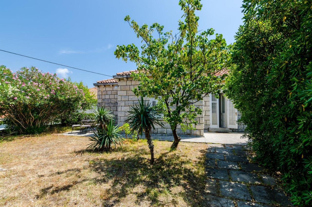 Leonora Dubrovnik